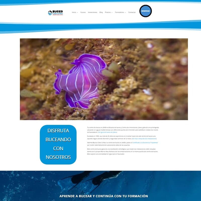 Cabo La Nao - Digital Marketing