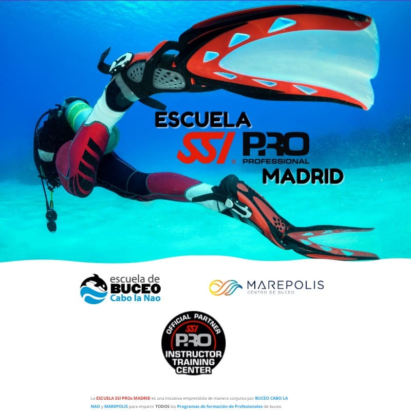 SSI PROS - Digital Marketing